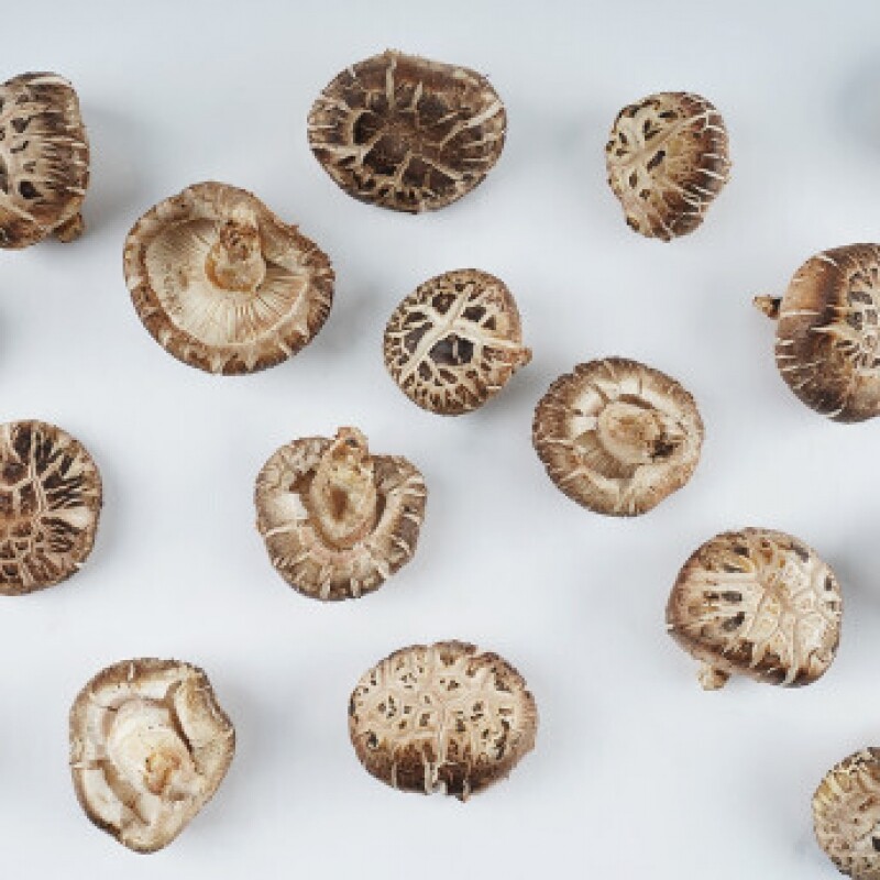 양양김양희들기름,양양더팜 국산 참나무 표고버섯 2kg