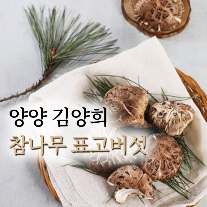 양양김양희들기름,양양더팜 국산 참나무 표고버섯 2kg
